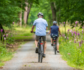 zwei Radfahrer fahren an einer Blumenwiese vorbei