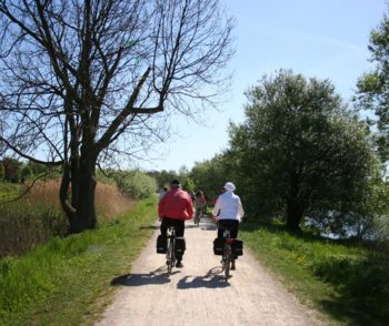 Drei Personen auf Fahrrädern auf einem Weg neben einem Fluss im Frühling.