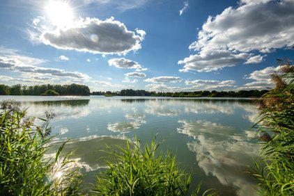 Meissendorfer Teiche bei Sonnenschein