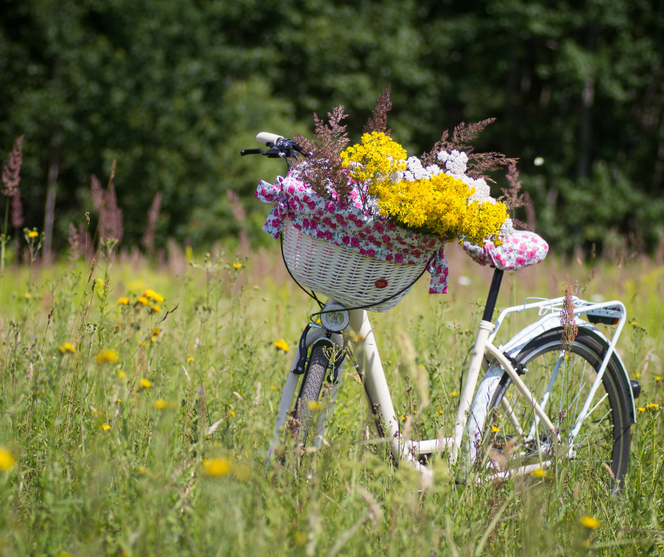 Rad auf Blumenwiese