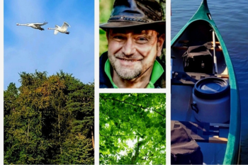 Collage aus Naturbildern und einem Mann und einem Kajak.