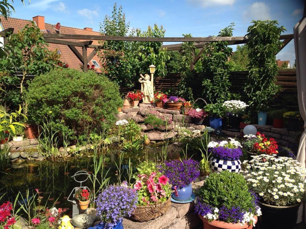 Blick auf den Gartenteich, umgeben von Pflanzen